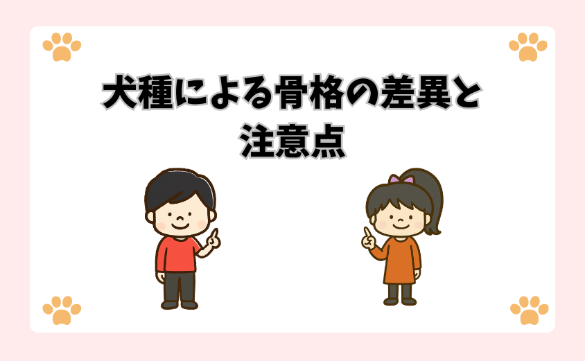 犬種による骨格の差異と注意点