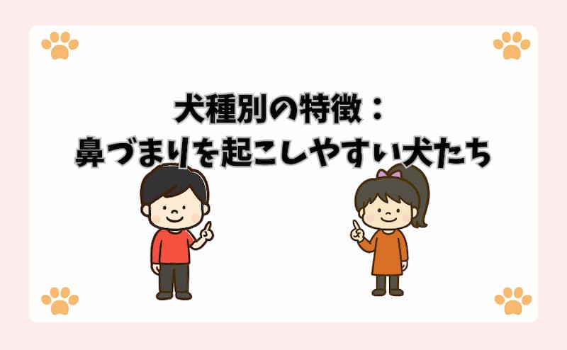 犬種別の特徴：鼻づまりを起こしやすい犬たち