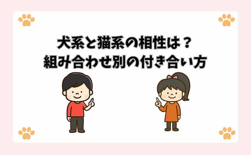 犬系と猫系の相性は？組み合わせ別の付き合い方