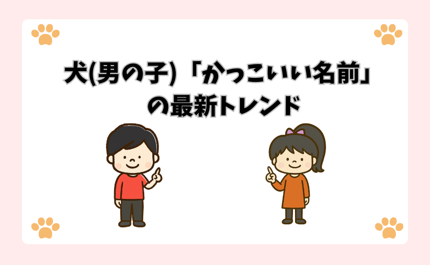 犬（男の子）「かっこいい名前」の最新トレンド