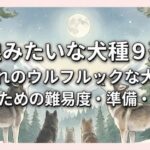 狼みたいな犬種９選｜憧れのウルフルックな犬と暮らすための難易度・準備・法規制