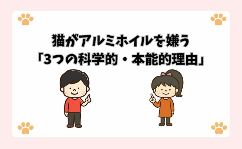 猫がアルミホイルを嫌う「3つの科学的・本能的理由」