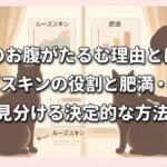 猫のお腹がたるむ理由とは？ルーズスキンの役割と肥満・病気を見分ける決定的な方法