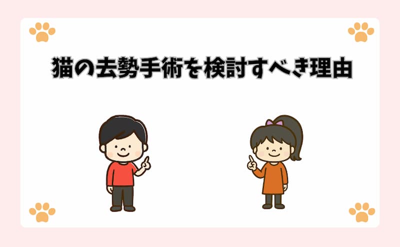 猫の去勢手術を検討すべき理由