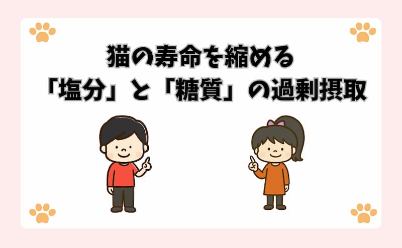 猫の寿命を縮める「塩分」と「糖質」の過剰摂取