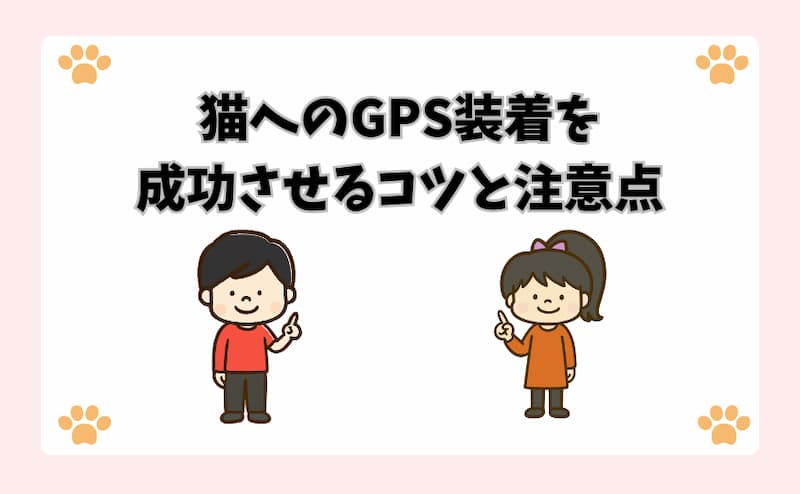 猫へのGPS装着を成功させるコツと注意点