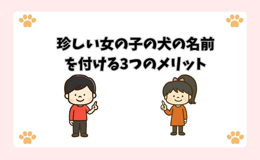 珍しい女の子の犬の名前を付ける3つのメリッ