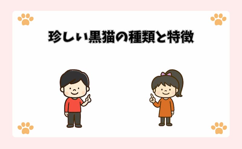 珍しい黒猫の種類と特徴