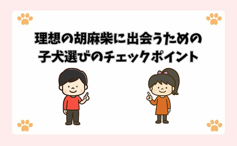 理想の胡麻柴に出会うための子犬選びのチェックポイント
