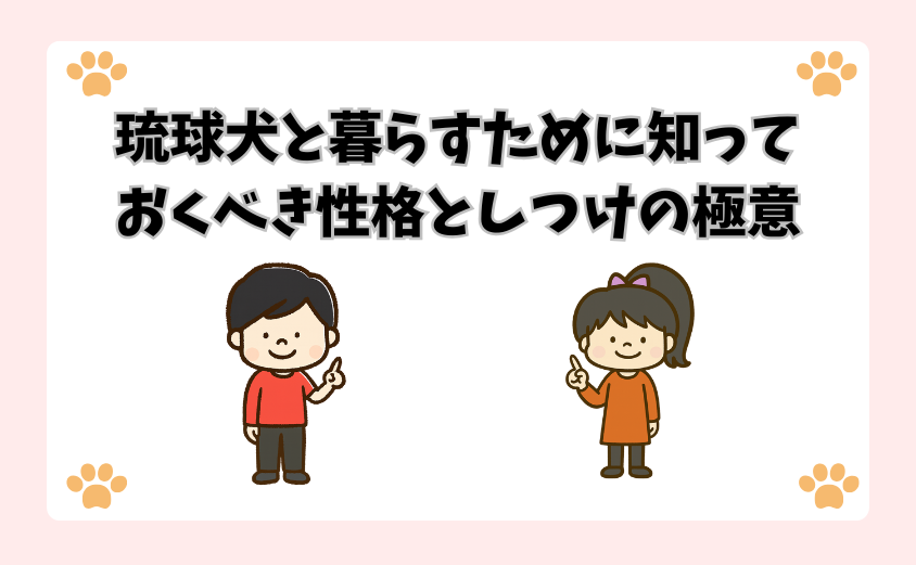琉球犬と暮らすために知っておくべき性格としつけの極意