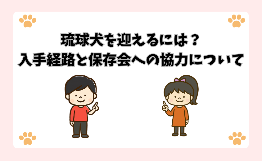 琉球犬を迎えるには？入手経路と保存会への協力について