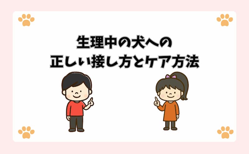 生理中の犬への正しい接し方とケア方法