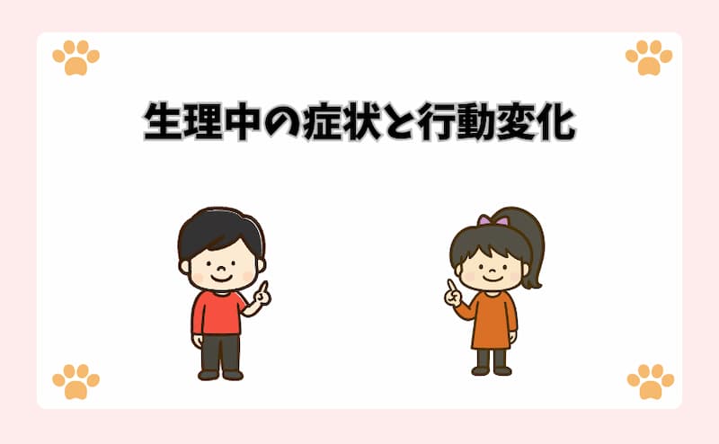 生理中の症状と行動変化
