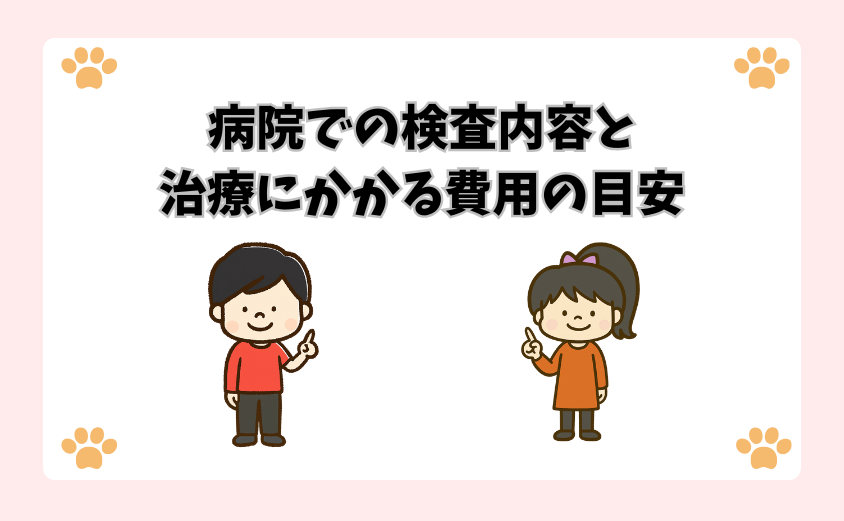 病院での検査内容と治療にかかる費用の目安
