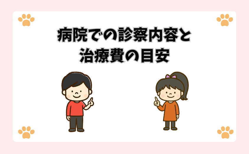 病院での診察内容と治療費の目安
