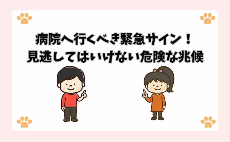 病院へ行くべき緊急サイン！見逃してはいけない危険な兆候