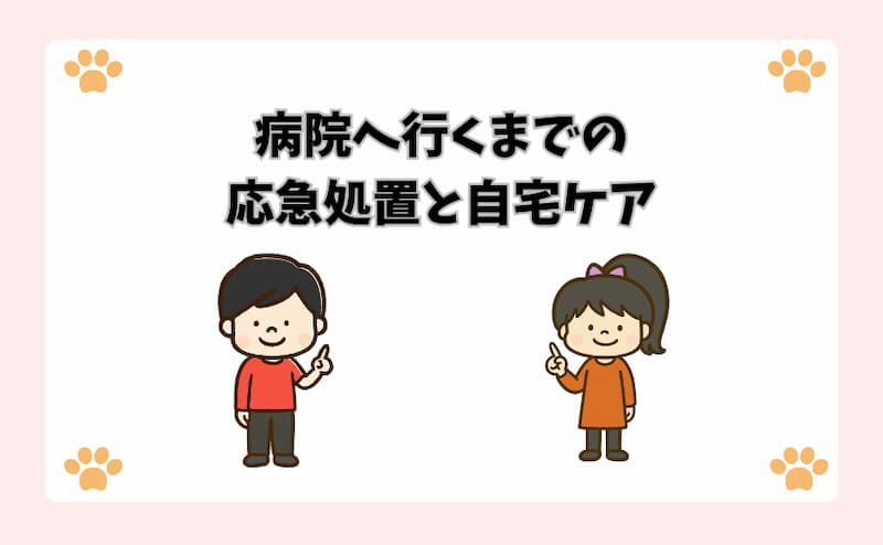 病院へ行くまでの応急処置と自宅ケア