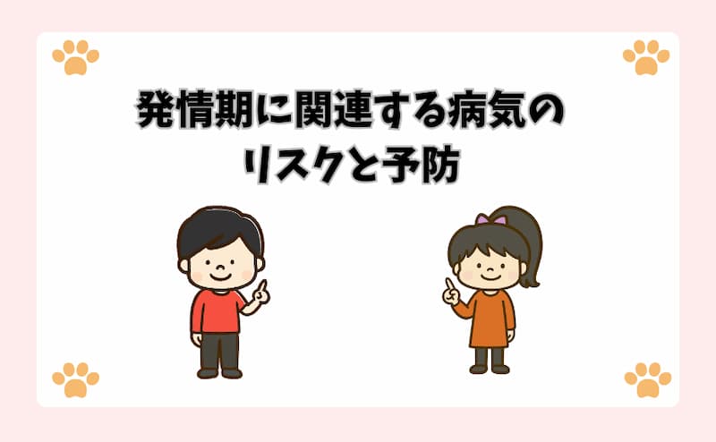 発情期に関連する病気のリスクと予防
