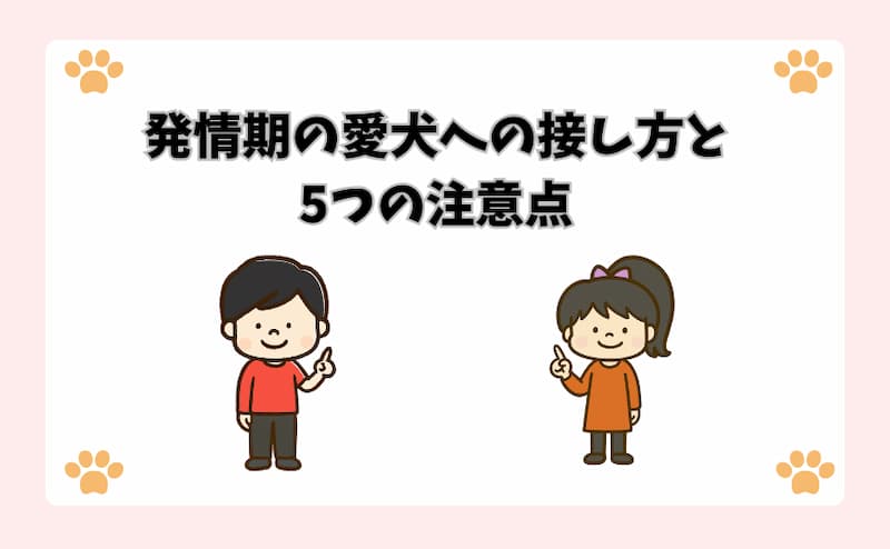 発情期の愛犬への接し方と5つの注意点