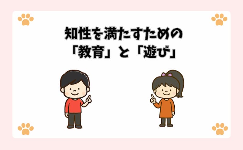 知性を満たすための「教育」と「遊び」