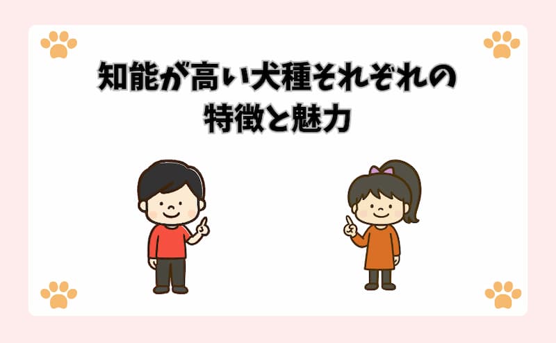 知能が高い犬種それぞれの特徴と魅力