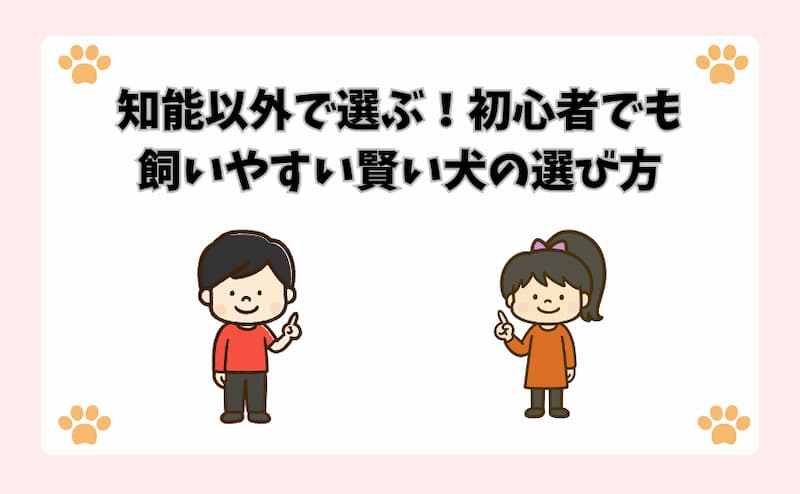 知能以外で選ぶ！初心者でも飼いやすい賢い犬の選び方