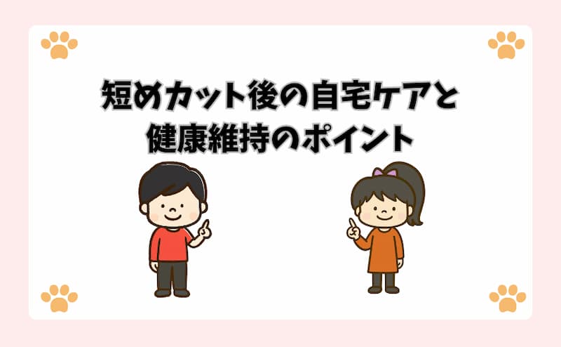 短めカット後の自宅ケアと健康維持のポイント