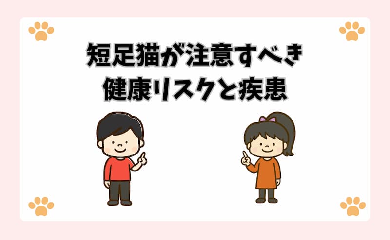 短足猫が注意すべき健康リスクと疾患