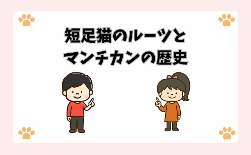 短足猫のルーツとマンチカンの歴史