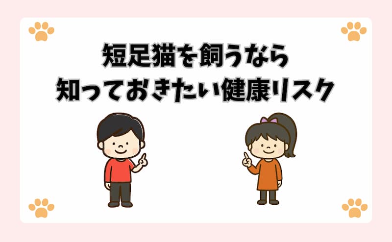 短足猫を飼うなら知っておきたい健康リスク
