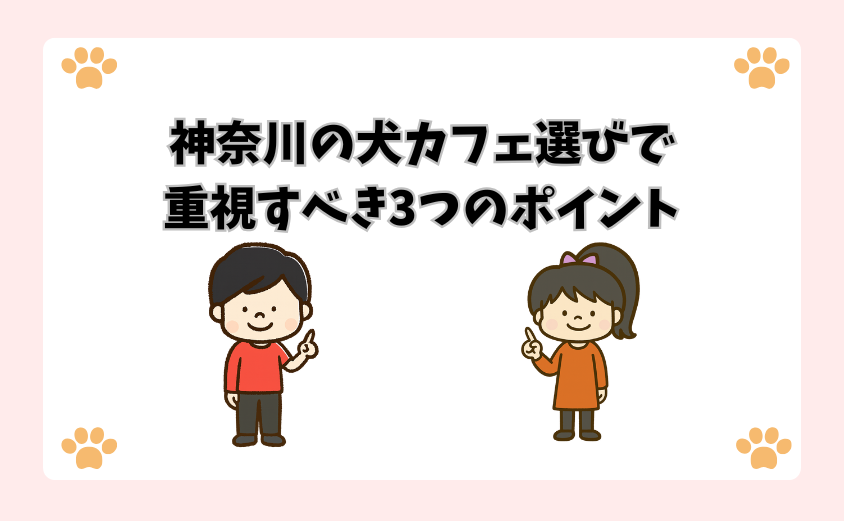 神奈川の犬カフェ選びで重視すべき3つのポイント