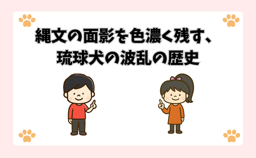 縄文の面影を色濃く残す、琉球犬の波乱の歴史