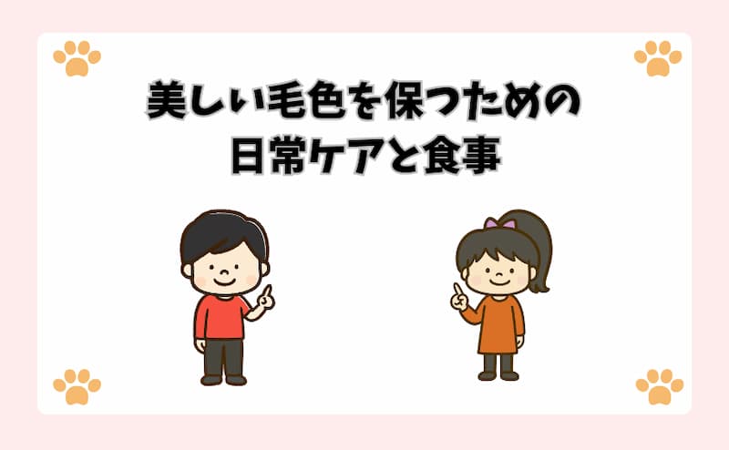 美しい毛色を保つための日常ケアと食事
