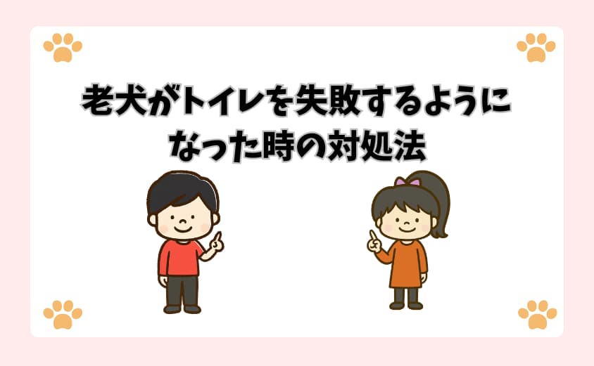 老犬がトイレを失敗するようになった時の対処法