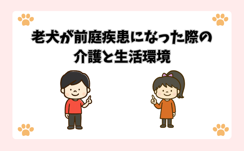 老犬が前庭疾患になった際の介護と生活環境