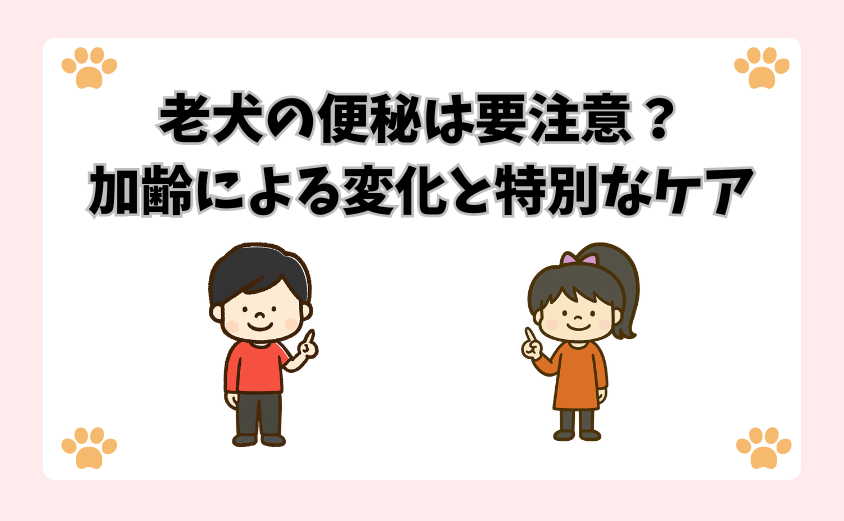 老犬の便秘は要注意？加齢による変化と特別なケア