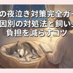 老犬の夜泣き対策完全ガイド｜原因別の対処法と飼い主の負担を減らすコツ