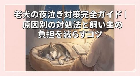 老犬の夜泣き対策完全ガイド｜原因別の対処法と飼い主の負担を減らすコツ