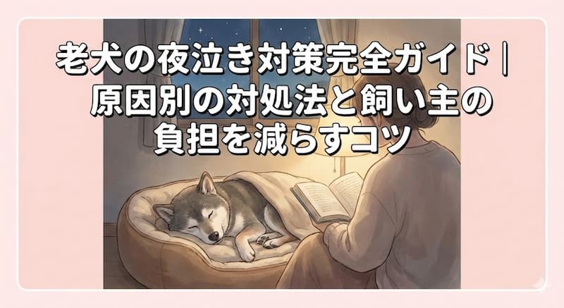 老犬の夜泣き対策完全ガイド｜原因別の対処法と飼い主の負担を減らすコツ