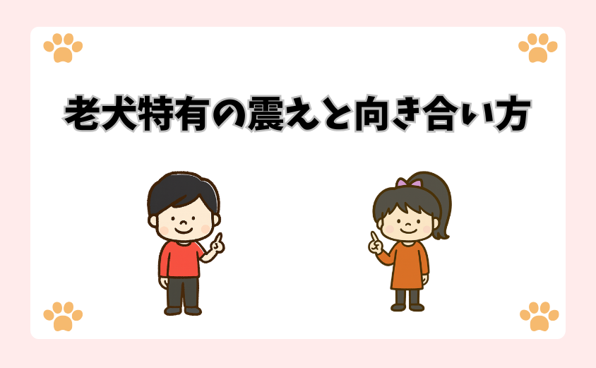 老犬特有の震えと向き合い方
