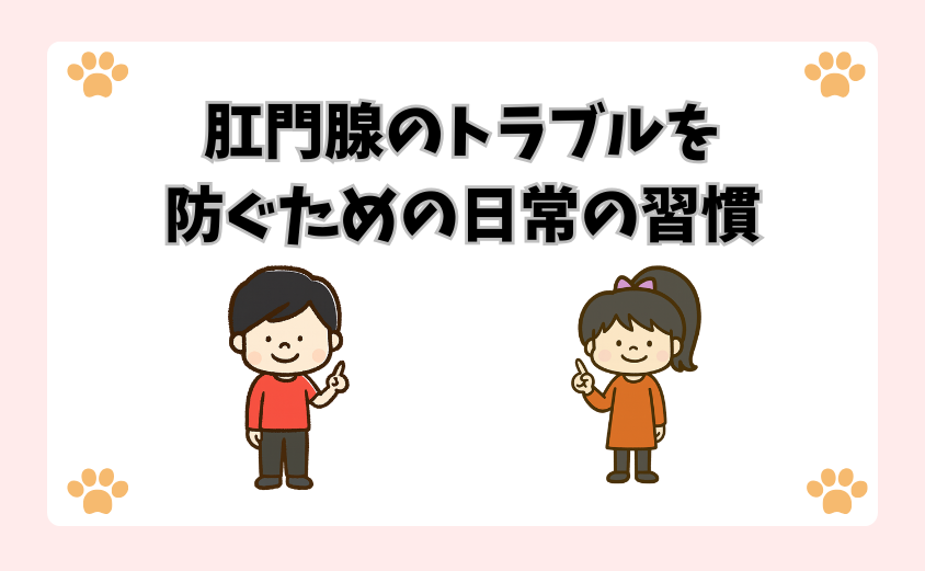 肛門腺のトラブルを防ぐための日常の習慣