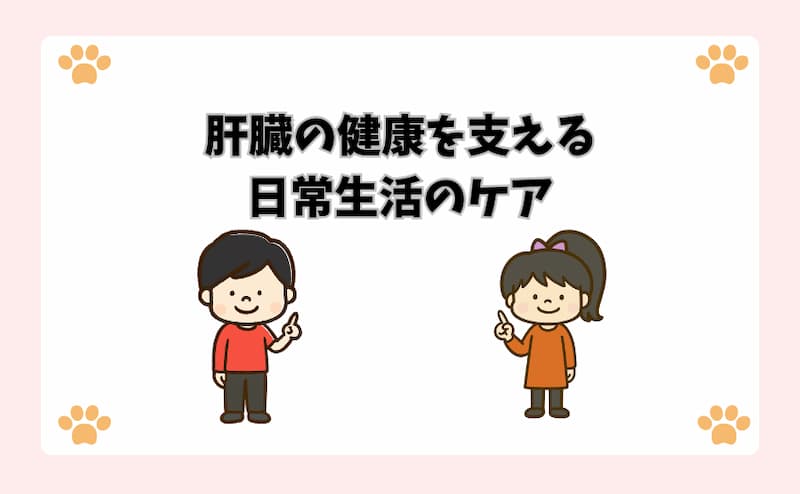 肝臓の健康を支える日常生活のケア