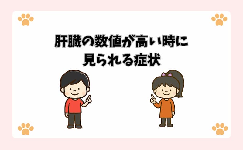 肝臓の数値が高い時に見られる症状