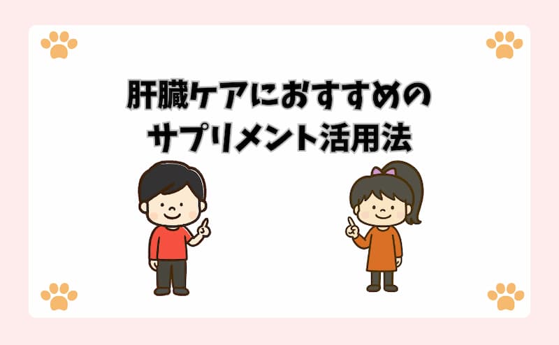肝臓ケアにおすすめのサプリメント活用法