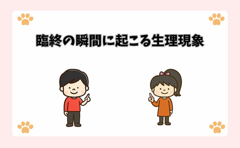 臨終の瞬間に起こる生理現象