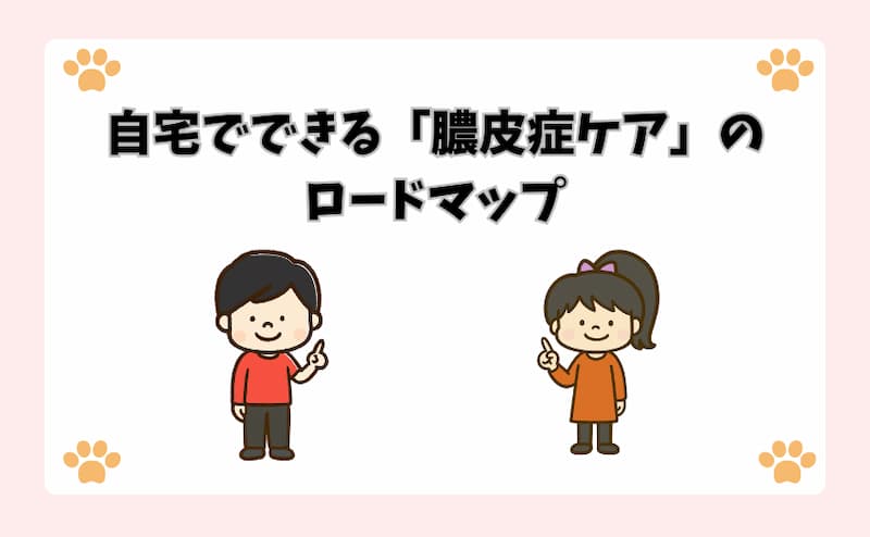 自宅でできる「膿皮症ケア」のロードマップ