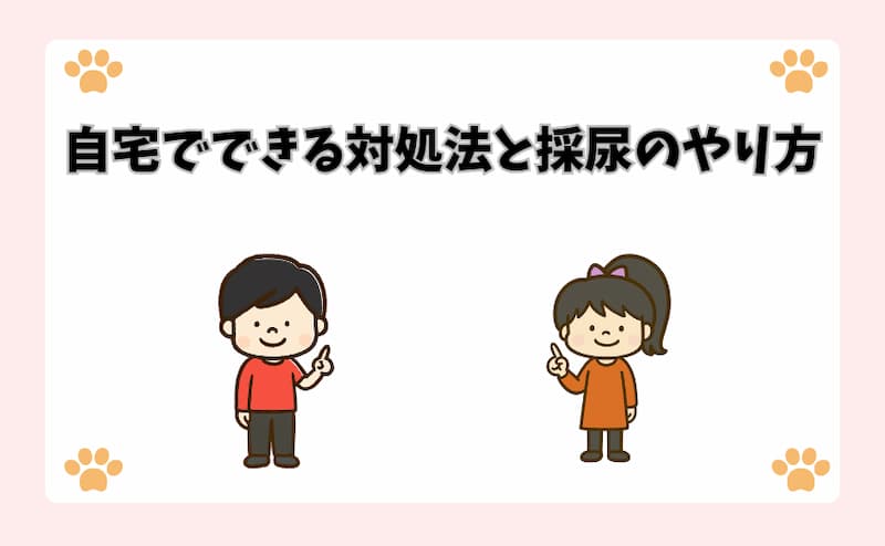 自宅でできる対処法と採尿のやり方