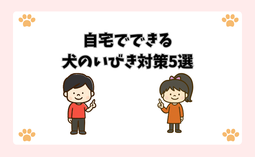 自宅でできる犬のいびき対策5選