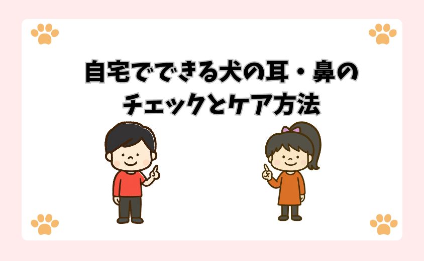 自宅でできる犬の耳・鼻のチェックとケア方法