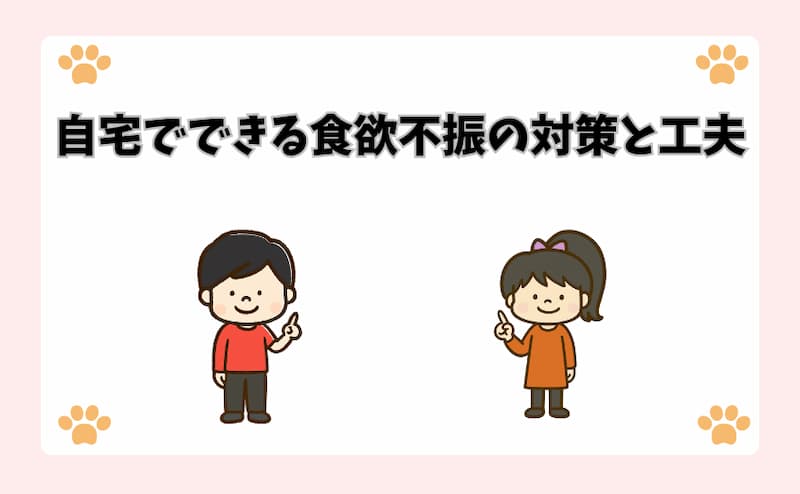 自宅でできる食欲不振の対策と工夫